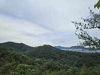 #2026.06.21.삼성산 둘레..