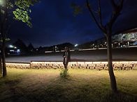 2025/5/20/ 대..