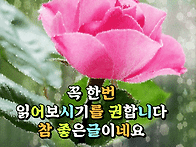 꼭 한번 읽어보시기를 권합..