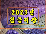 (칡즙) 2023년 ..