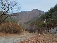 매봉(응봉) 산행