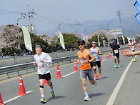 장흥마라톤 사진 ..