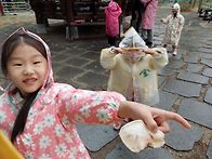 7세 겨레반 친구들과 첫 반숲나들이 후기