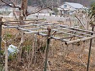 양다래1주 지주시..