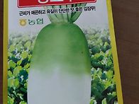 가을 배추 등 파종..