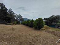 증,조,부친 벌초 ..