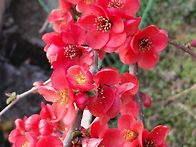 설유화외(26.3...