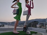 졸업 50주년 기념 추억쌓기