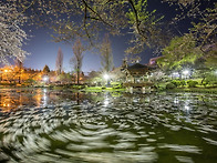 2016년 한국관광공사 사진..