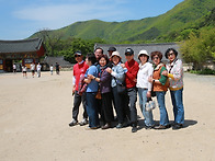 2025년 봄 밀양 표충사 소..