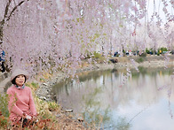 꽃속에서 한가로움을