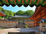 표충사 봄소풍 2025년 4..