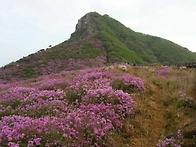 제835차 정기산행..