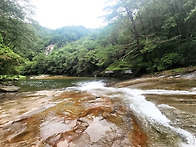 제 190차 세종 도원산악회..