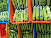 2025년 농업컨설팅 회원 ..