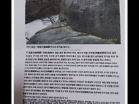 鳳凰臺(봉황대) ..