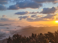 호남 소타데이 참여기