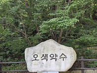 정기산행