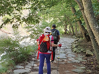 정기산행