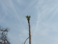 🍀두릅이와 고..