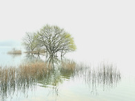 오랜만이에요, 대청호