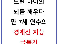느린 아이의 뇌를 깨우다:..