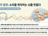느린 아이의 뇌를 깨우다:..