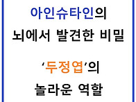 아인슈타인의 뇌에서 발견..