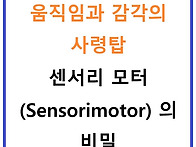 움직임과 감각의 사령탑,..