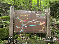 유명산을 다녀오며...2