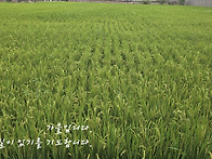297. 김종수목사님..