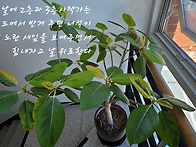 288.김종수목사님..