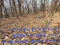 165.김종수목사님..