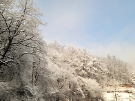 173.김종수목사님..