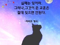 실패는 잊어라!