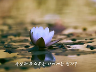 263.김종수목사님..