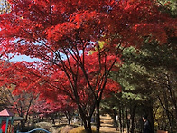 2022년을 보내며&hellip; (3)