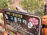 혈구산