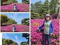 청평철죽축제 와 유람선타..