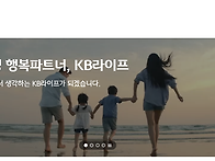 KB라이프