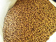 전용 황토방에서 ..