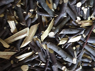 헛개열매/나무판매..