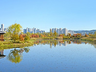 수목원의 추색