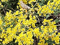 민둥산 산행 중 ..