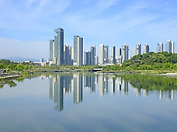 초여름 호수공원