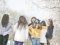 벛꽃 아름다운 그때