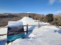 제주 한라산 산행 ( 202..