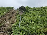 2026 ~49 합천 가야산 산..