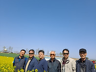 하루