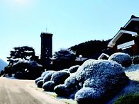 하널[夏雪]